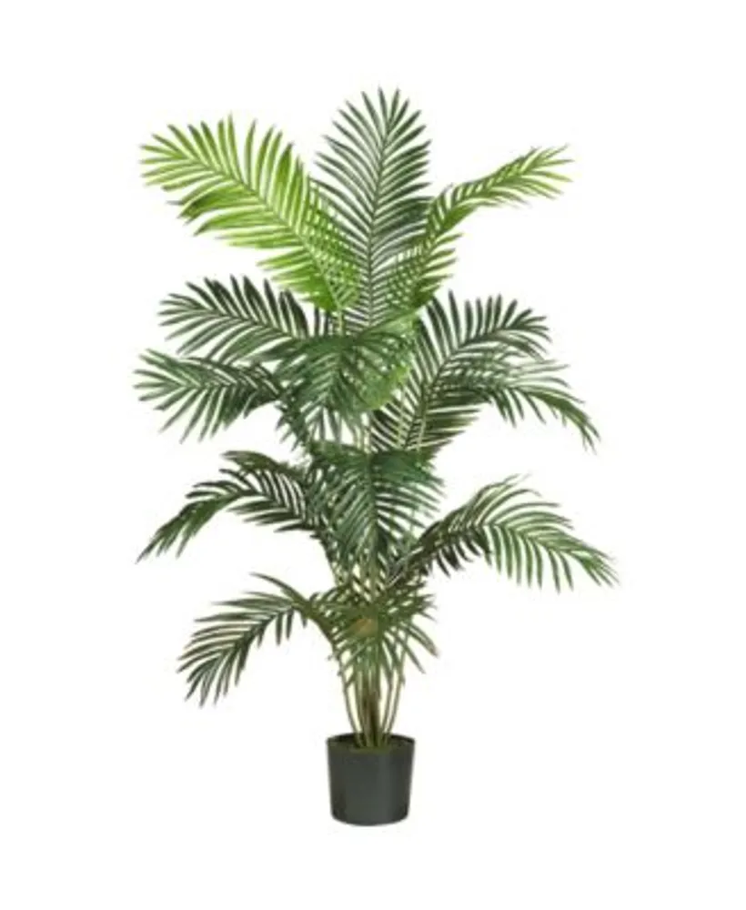 6' Artificial Paradise Palm with White Decorative Planterplanter