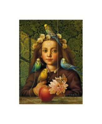 Dan Craig Girl with Parakeets Canvas Art - 19.5" x 26"