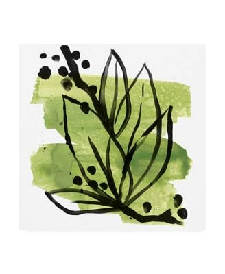 June Erica Vess Tropical Sumi E II Canvas Art