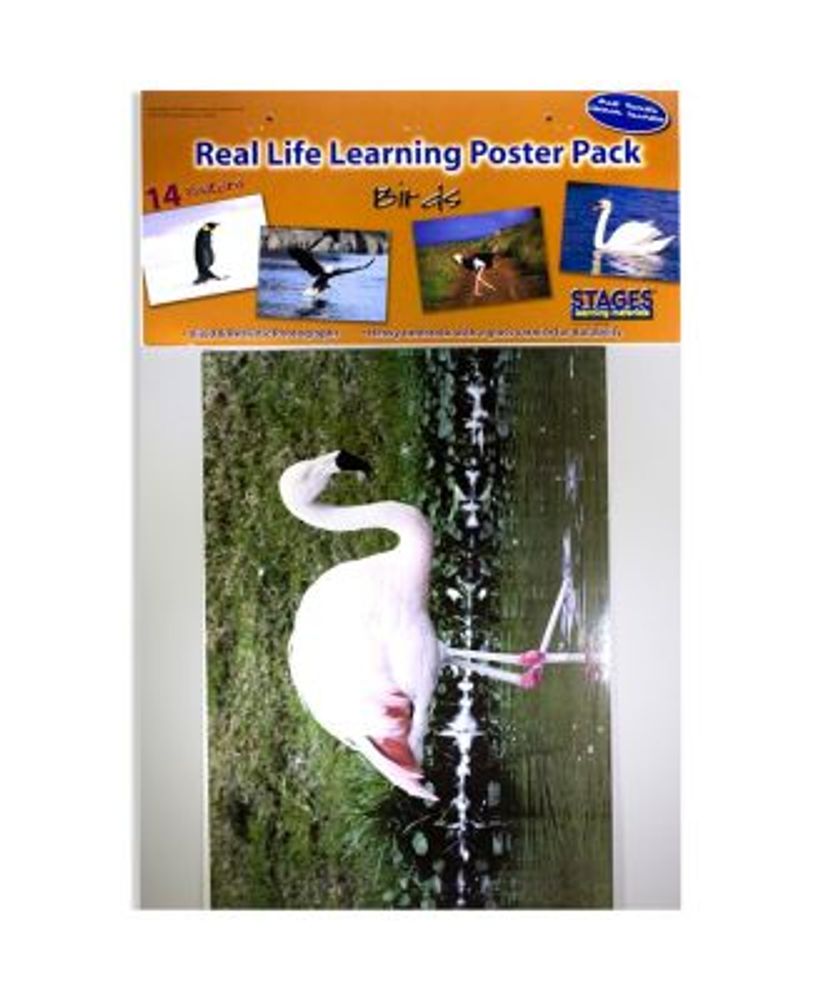 Real Photo Birds Poster Set