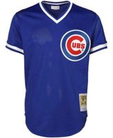 Youth Mitchell & Ness Ryne Sandberg Royal Chicago Cubs Cooperstown  Collection Mesh Batting Practice Jersey 