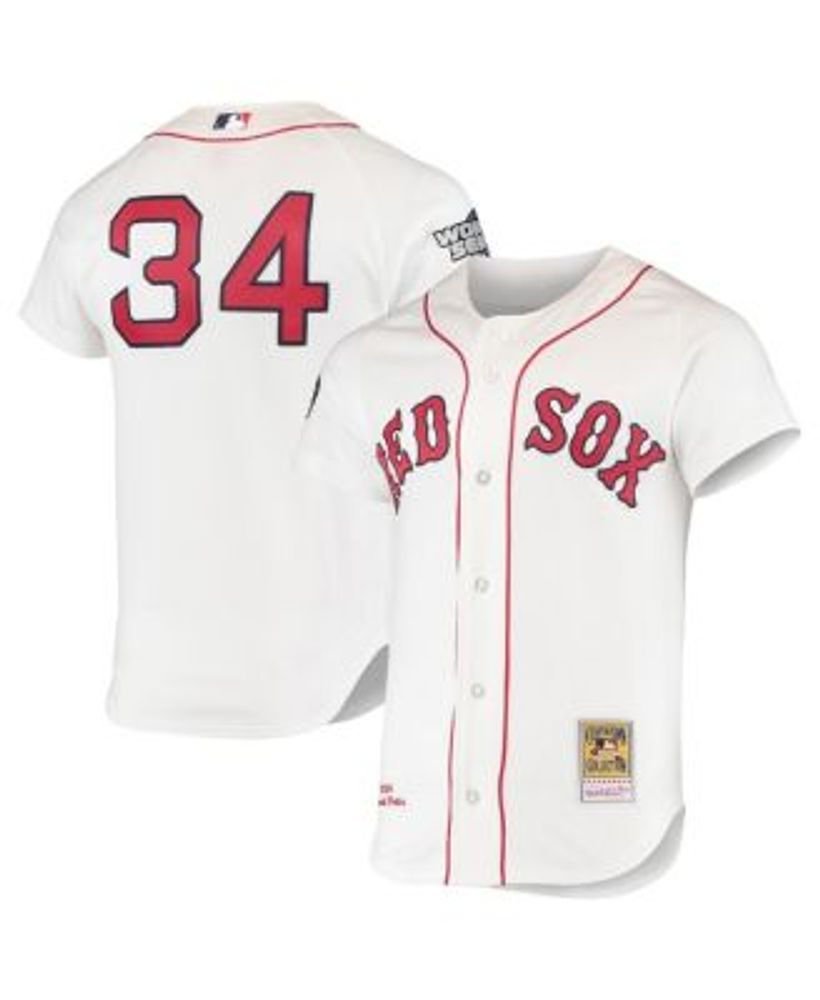David Ortiz Boston Red Sox Nike Alternate Replica Player Jersey