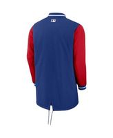 Youth Nike Royal Chicago Cubs Authentic Collection Performance