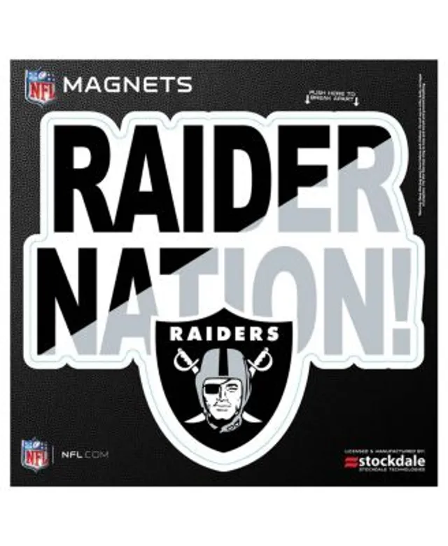 Las Vegas Raiders Teamball 6 x Oval Full Color Magnet