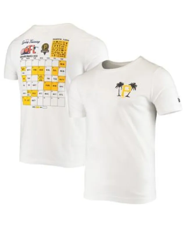 Pittsburgh Pirates New Era Historical Championship T-Shirt - White