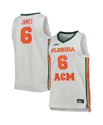 Youth Nike x LeBron James Orange Florida A&M Rattlers Performance Pullover  Hoodie