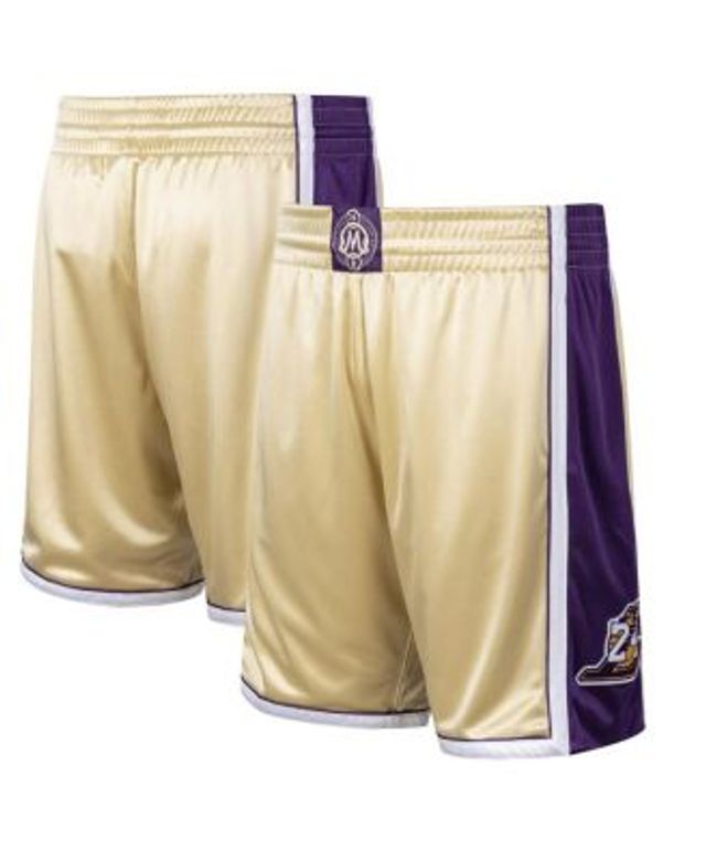 Men's Mitchell & Ness Purple Los Angeles Lakers 1996-1997 Hardwood Classics Throwback Authentic Shorts Size: Large