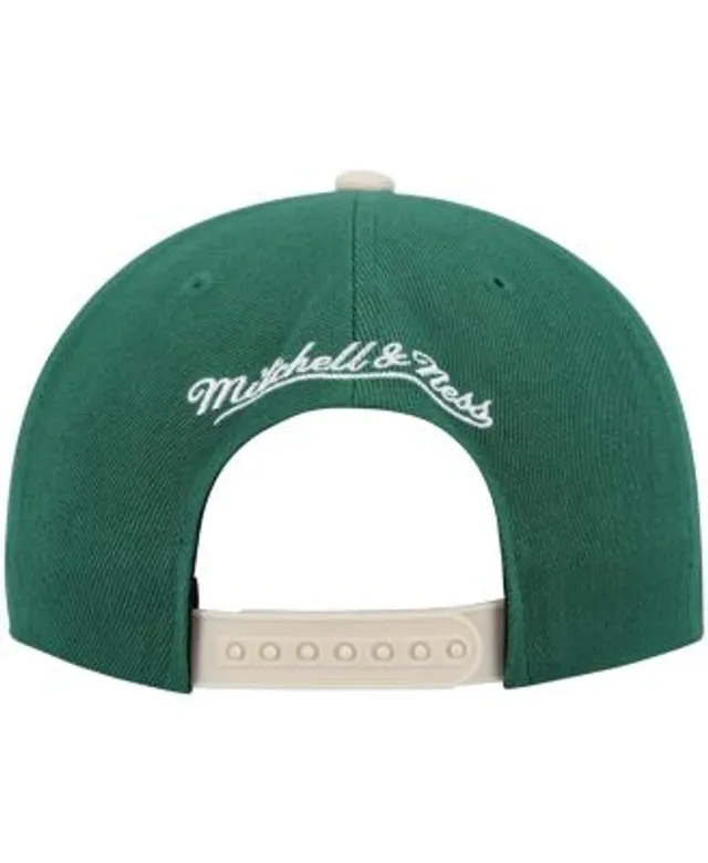 Men's Milwaukee Bucks Mitchell & Ness Purple Hardwood Classics Asian  Heritage Scenic Snapback Hat