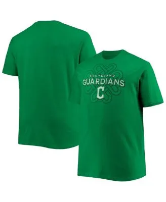 Men's Cleveland Guardians Nike White Legend Established T-Shirt