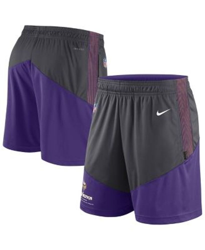 Men's Minnesota Vikings Nike Purple Sideline Team Performance Full