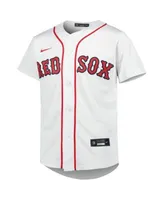 Youth Nike David Ortiz Gold Boston Red Sox City Connect Replica Player Jersey, L