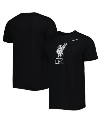 Men's Nike Black Liverpool Futura Travel Long Sleeve T-Shirt