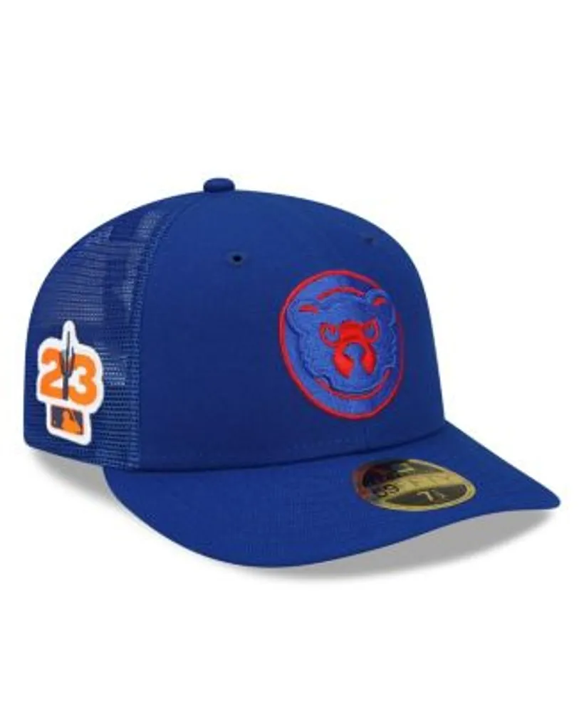 chicago cubs spring training hat