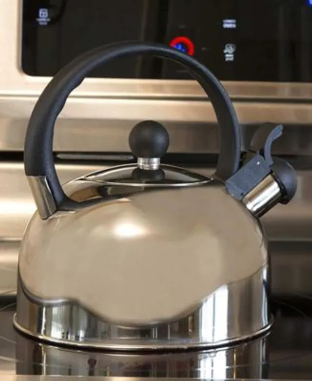 Primula Stainless Steel 2.3 Quart Chelsea Whistling Stovetop Tea Kettle -  Macy's