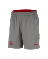 Men's Nike x LeBron James Scarlet/Gray Ohio State Buckeyes