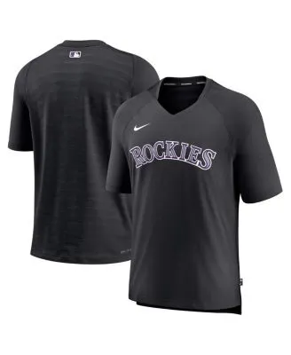 Men's Nike Gray/Black Arizona Diamondbacks Game Authentic Collection  Performance Raglan Long Sleeve T-Shirt