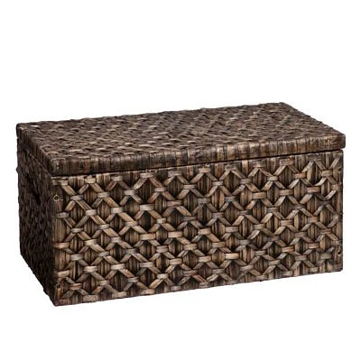 Water Hyacinth Storage Trunk