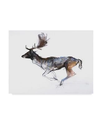 Mark Adlington 'Evening Buck Fallow Deer' Canvas Art - 35" x 47"