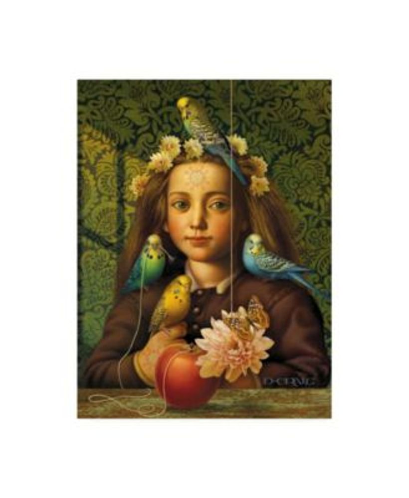 Dan Craig Girl with Parakeets Canvas Art - 27" x 33.5"