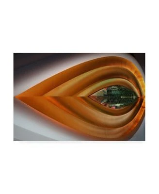 Hans Wolfgang Hawerkamp Golden Eye Canvas Art