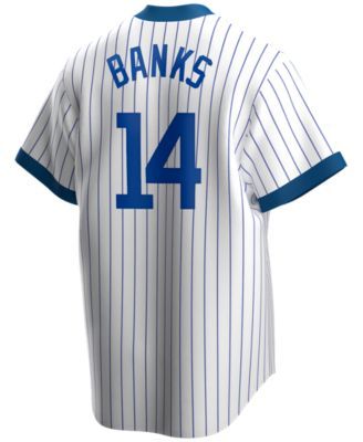 Mens Chicago Cubs Ernie Banks Mitchell & Ness Cream MLB Authentic