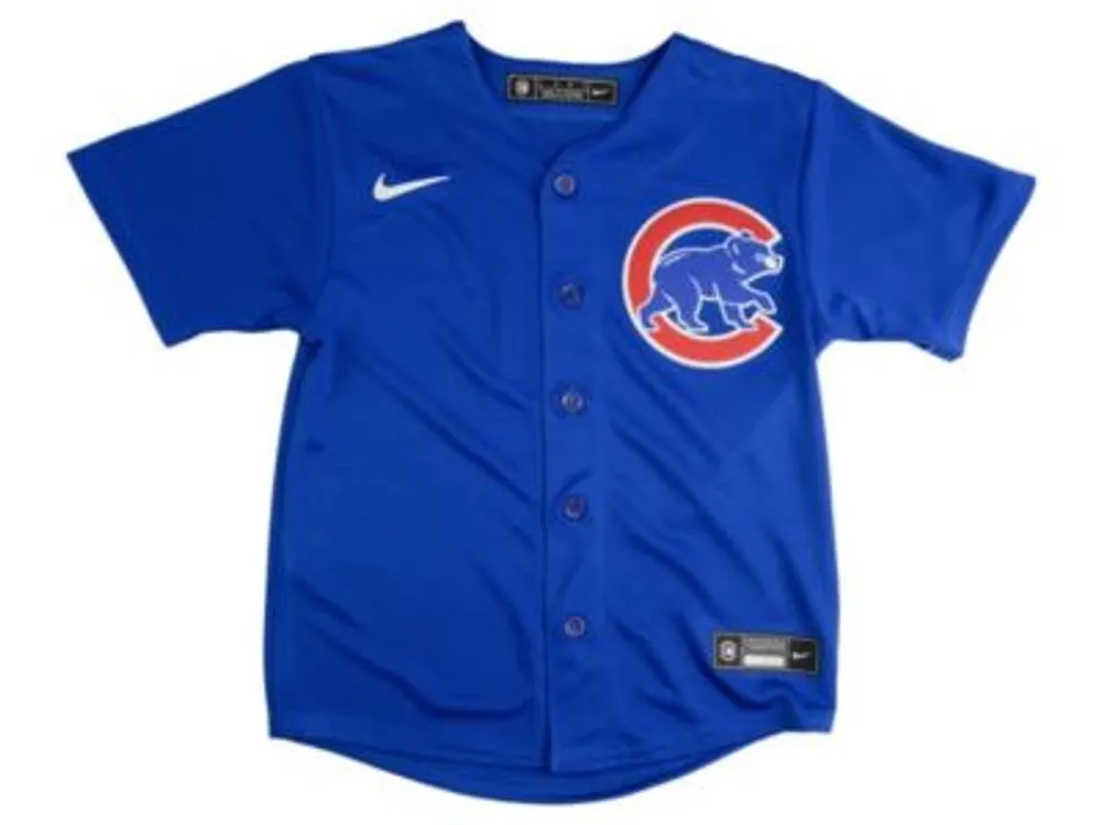Nike Youth Chicago Cubs Official Blank Jersey