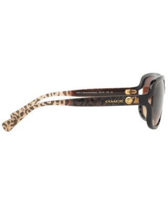 COACH Sunglasses, HC8169 | Mall of America®