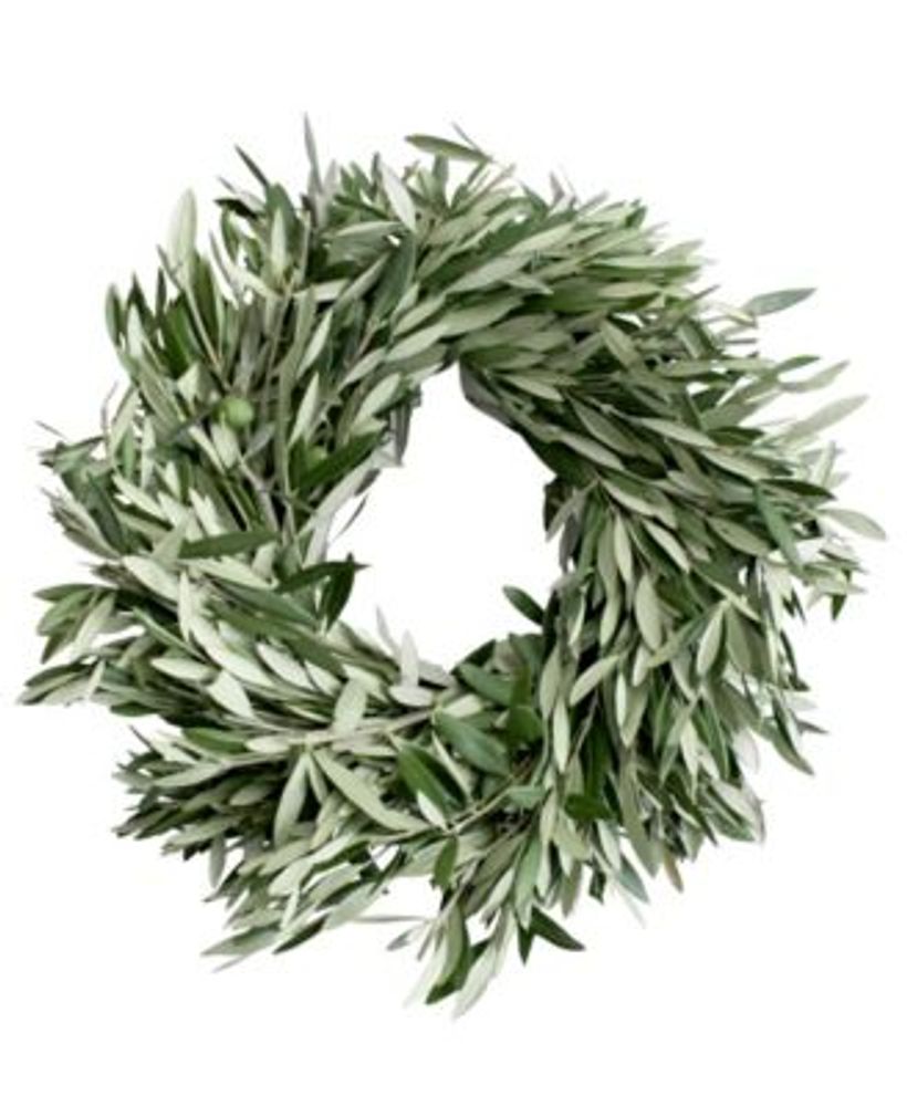 Olive Wreath - Magnolia