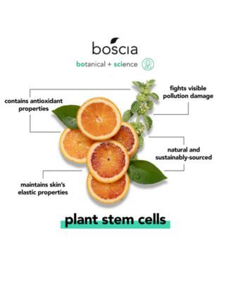 Plant Stem Cell Moisturizer