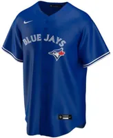 Youth Nike Royal Toronto Blue Jays Alternate Replica Team Jersey