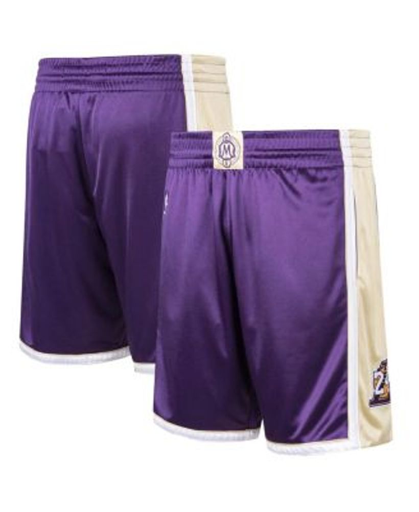 Men's Mitchell & Ness Purple Los Angeles Lakers 1996-1997 Hardwood Classics Throwback Authentic Shorts Size: Large