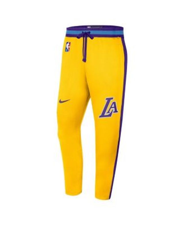 Men's Los Angeles Lakers Nike Purple 2021/22 On-Court Practice