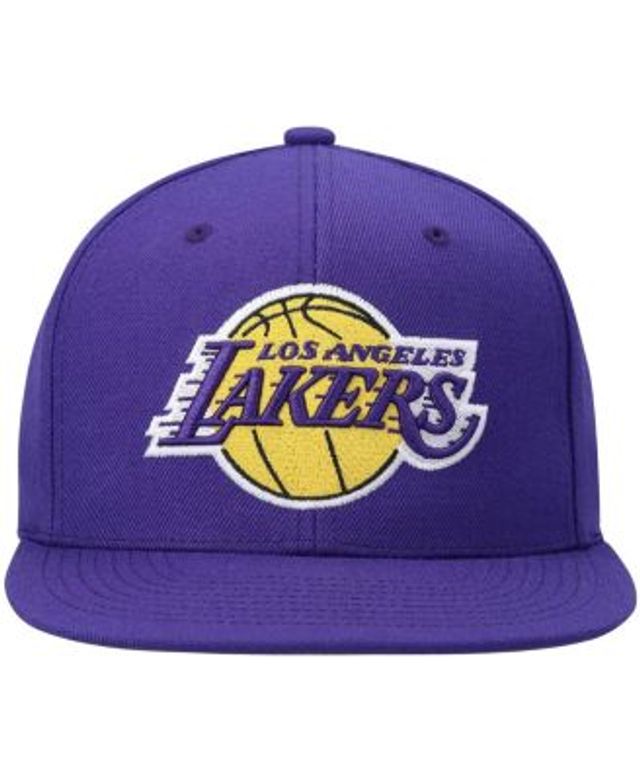 Men's Mitchell & Ness Purple Los Angeles Lakers The Grid Snapback Hat