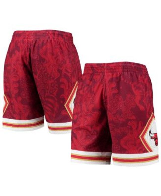 Vancouver Grizzlies Mitchell & Ness Hardwood Classics Lunar New Year  Swingman Shorts - Turquoise