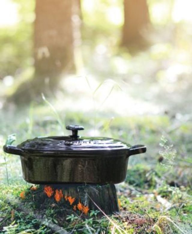 Berghoff Neo 8qt. Cast Iron Oval Dutch Oven, Matching Lid : Target