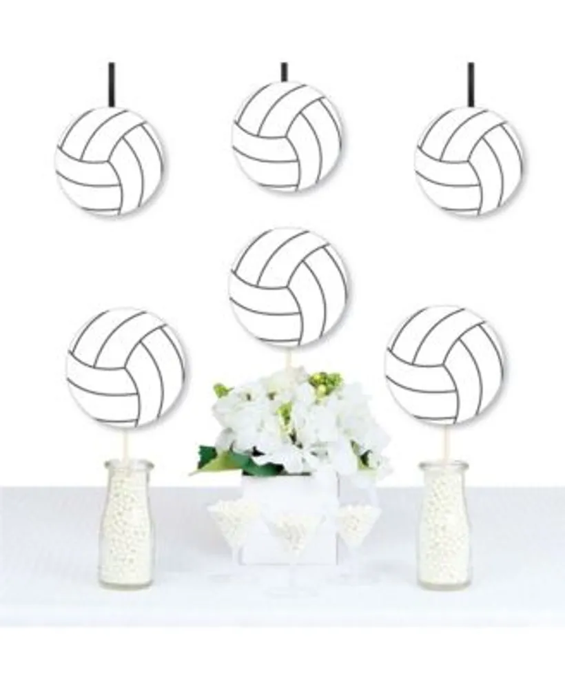 Big Dot of Happiness Bump, Set, Spike - Volleyball - Decor DIY Party Essentials