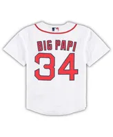 Youth David Ortiz Navy Boston Red Sox 2022 Hall of Fame Replica Player  Jersey