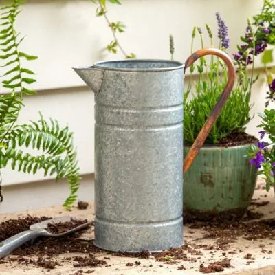 Tin Watering Can