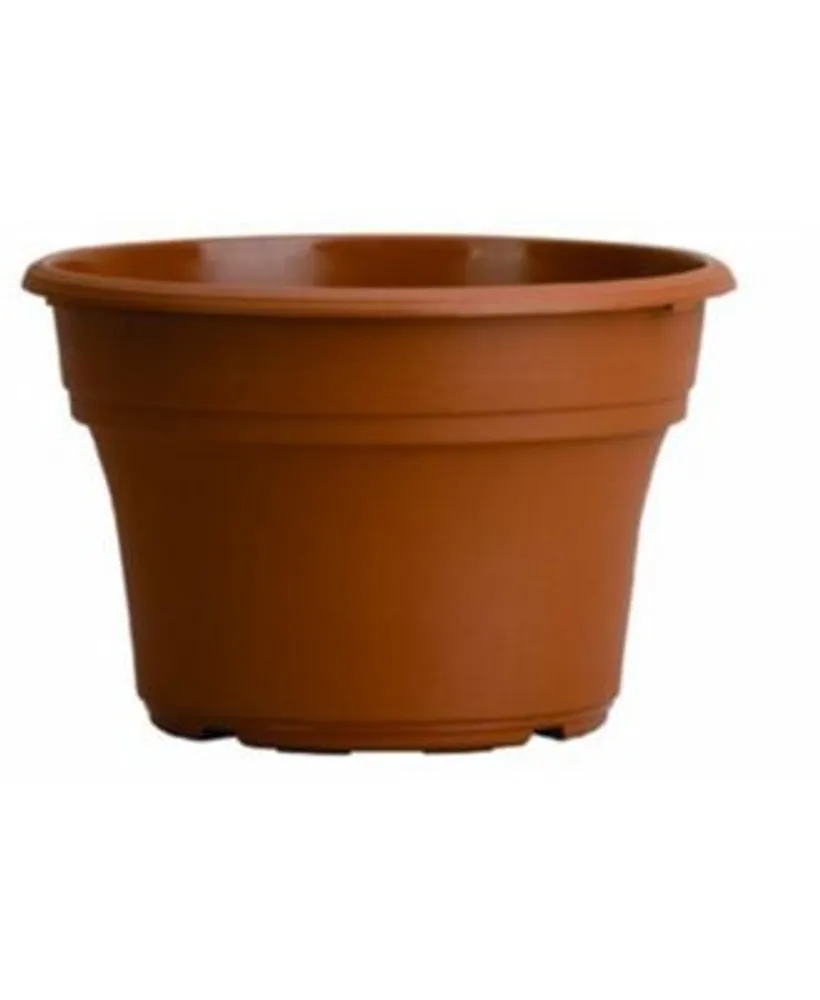 Clay pot - 6-inch