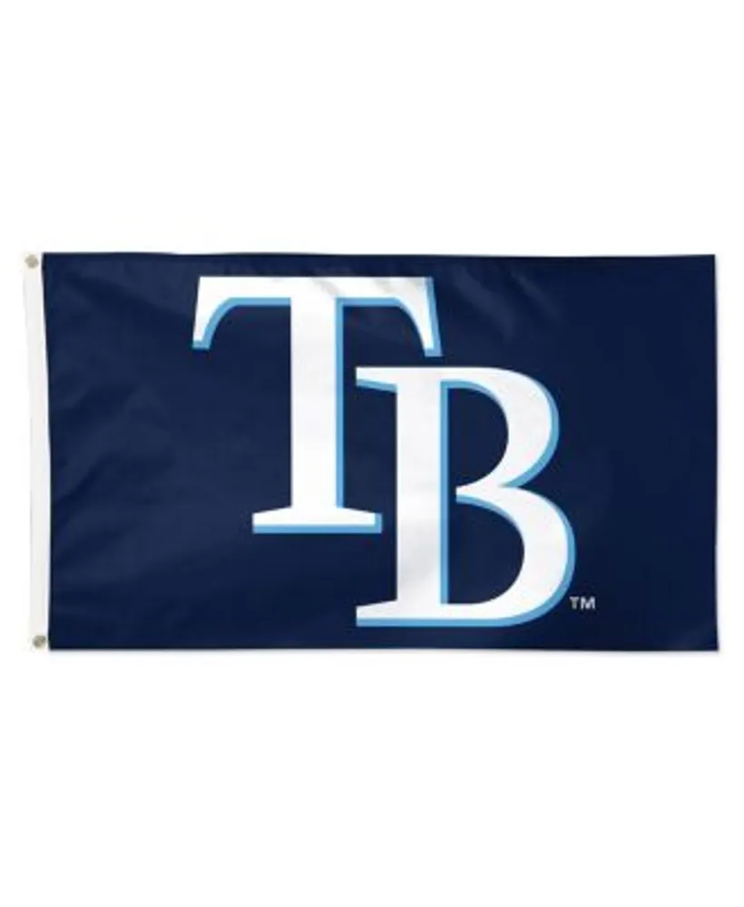 Tampa Bay Rays on X:  / X