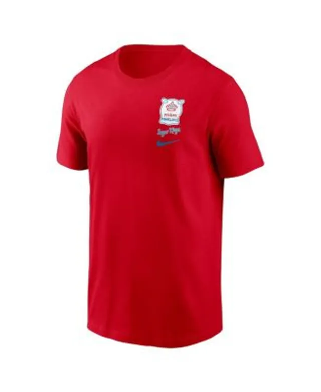 Nike Men's Gray Washington Nationals City Connect 2-Hit T-shirt