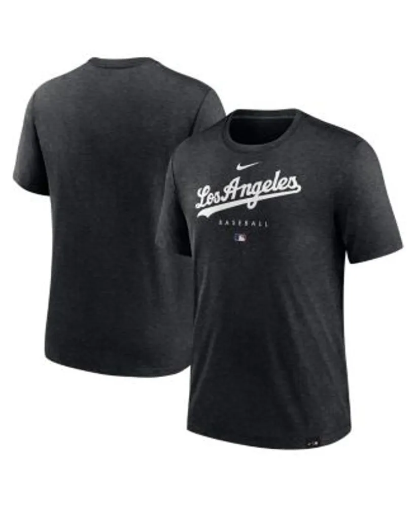 Nike Men's Black Los Angeles Dodgers Authentic Collection Logo Performance  Long Sleeve T-shirt