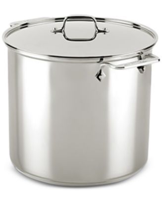 Stainless Steel 16-Qt. Stockpot with Lid 