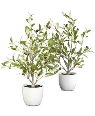 2-Pc. 18" Olive Tree Set with Vases