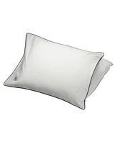 Pillow Guy White Goose Down Soft Density Pillow with 100% Certified Rds Down, and Removable Pillow Protector - Set of 2, Full/Queen