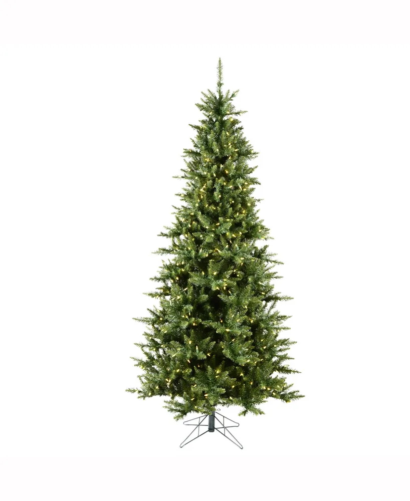 Vickerman 12' Camdon Fir Slim Artificial Christmas Tree with 1800 Warm White Led Lights