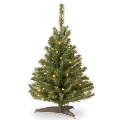 National Tree 3' Kincaid Spruce Tree with 100 Clear Lights