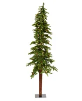 Vickerman 6' Alpine Artificial Christmas Tree, Featuring 657 Pvc Tips and 250 Warm White Dura-lit Led Lights