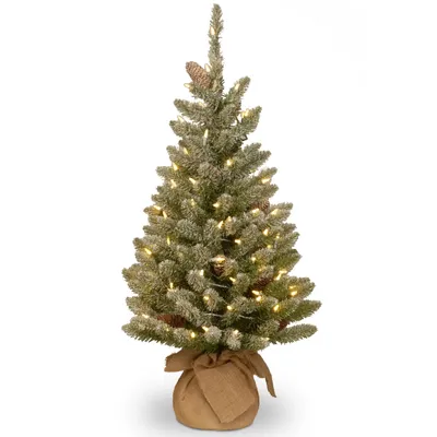 National Tree 3' Snowy Concolor Fir Small Tree in Burlap with Snowy Cones Warm White Battery Operated LEDs with Timer