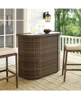 Bradenton Outdoor Wicker Bar